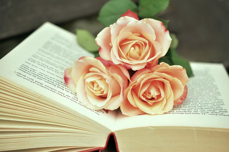 Books and Literature